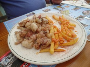 k-SAM_7007