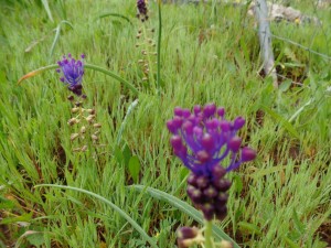 IMG-20180419-WA0008