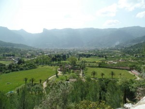 SAM_7923-800x600