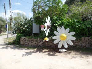 SAM_7968-800x600