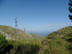 IMG-20180514-WA0018