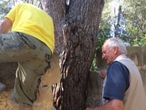 IMG_0876 