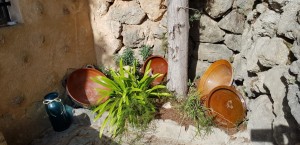 IMG-20191106-WA0004