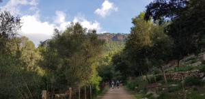IMG-20191106-WA0012