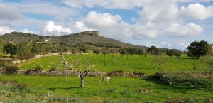 IMG-20200112-WA0021