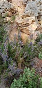 IMG-20200112-WA0026