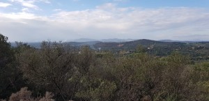IMG-20200112-WA0031