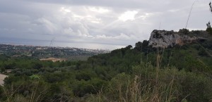 IMG-20200112-WA0032